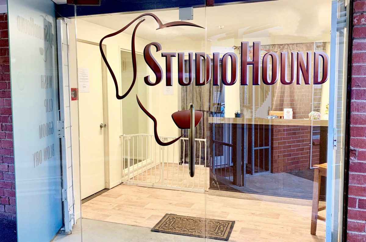  Studio Hound Dog Grooming Dog Daycare Epsom Auckland