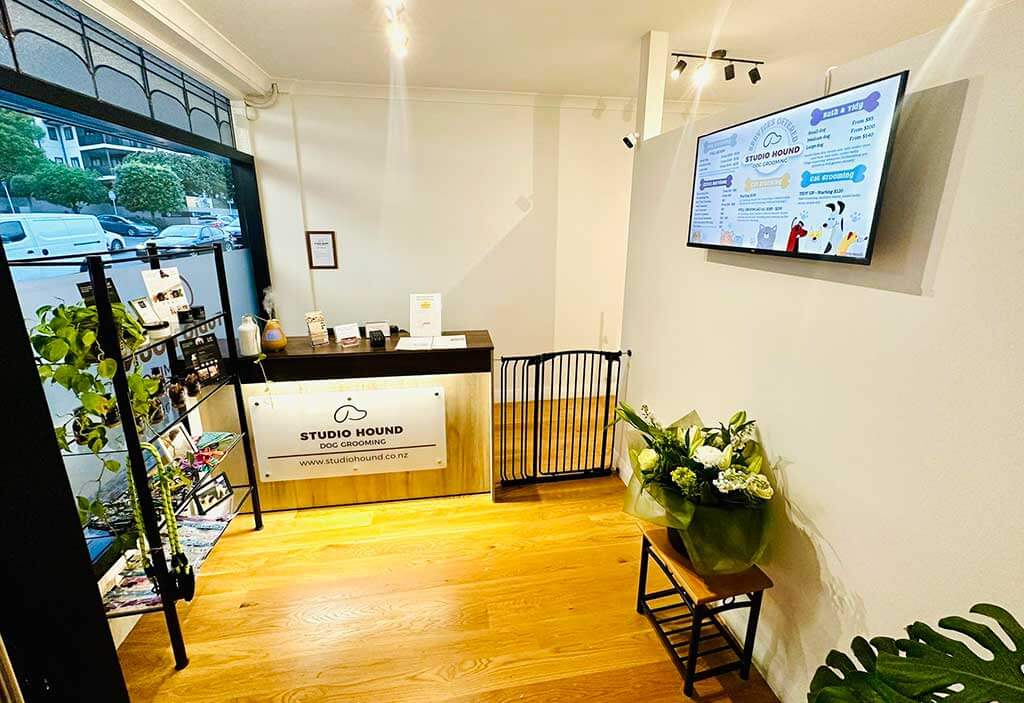 Dog Grooming Puppy Grooming Epsom Auckland