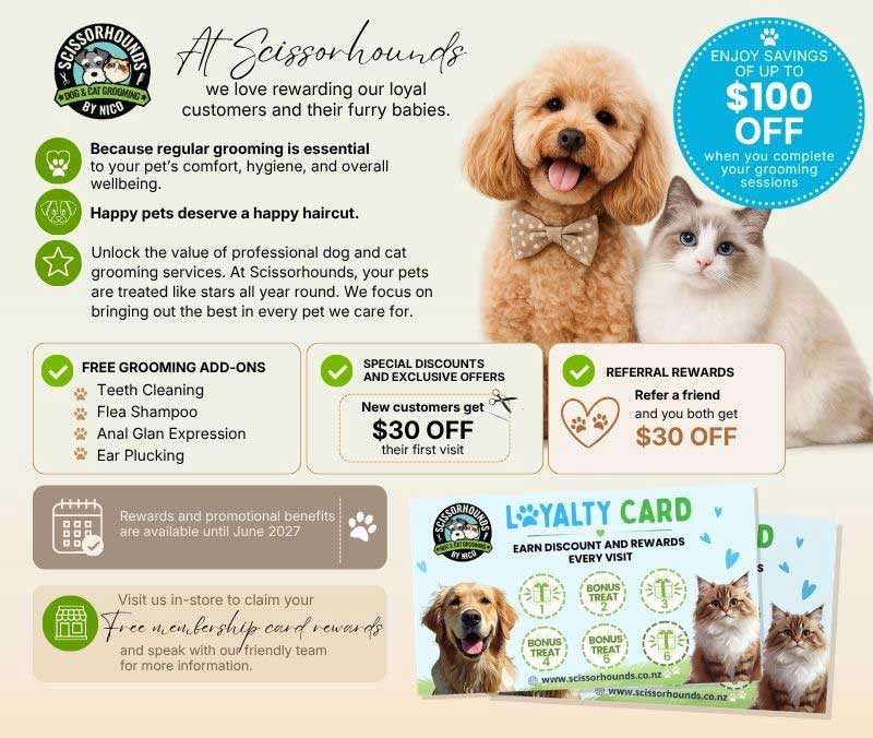 Loyalty-Card-Ad---website