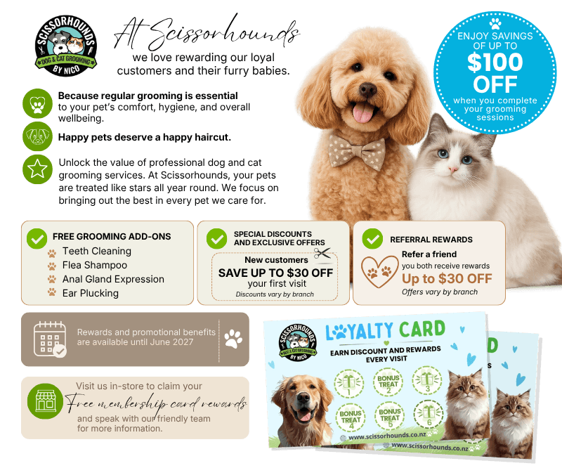 loyaltycard_webadpng