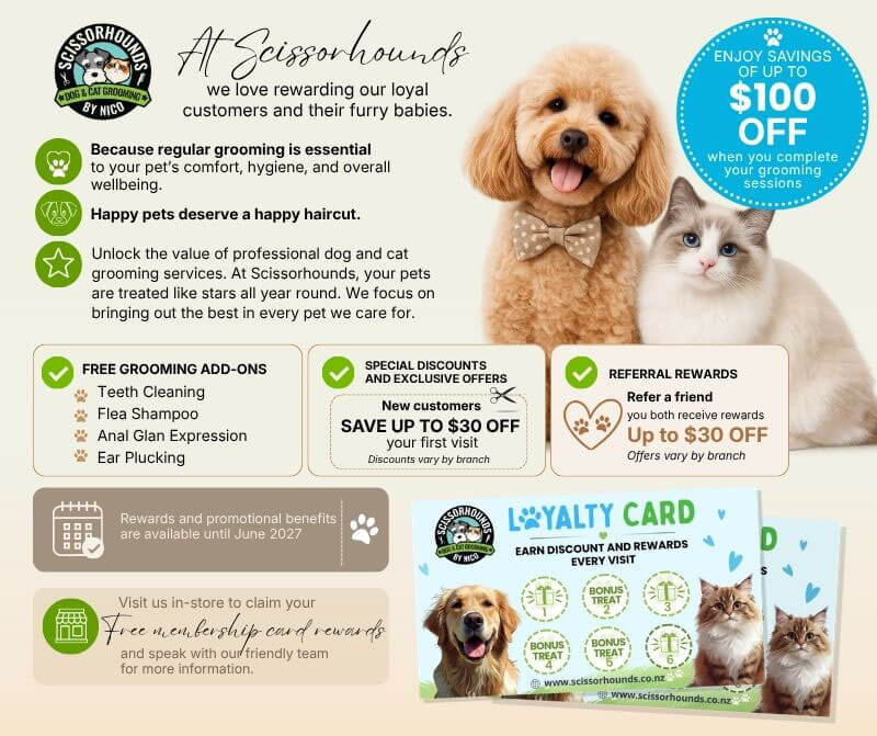 loyaltycardweb_060226